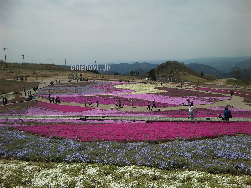 芝桜の丘