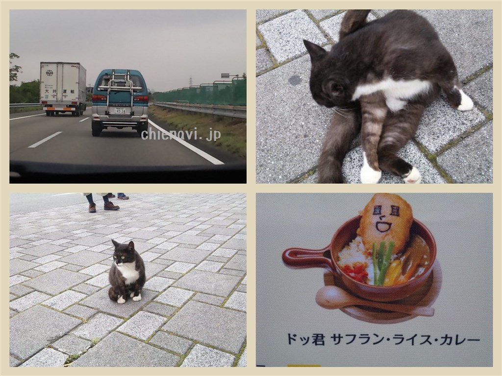 日本平PA