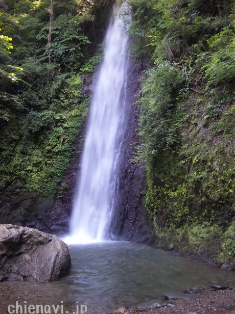 養老の滝