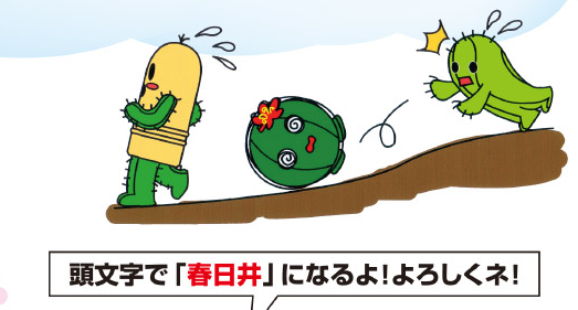春日井サボテンキャラ