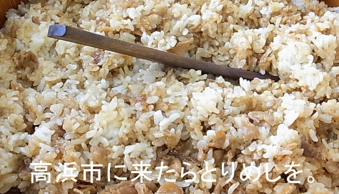 高浜とりめし学会