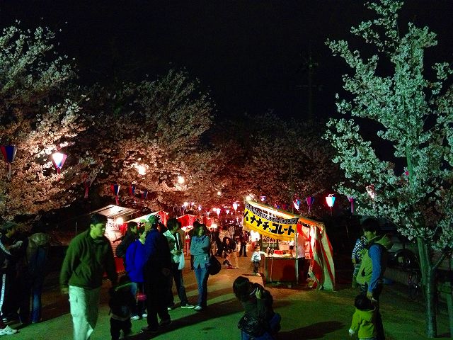 豊川桜トンネル