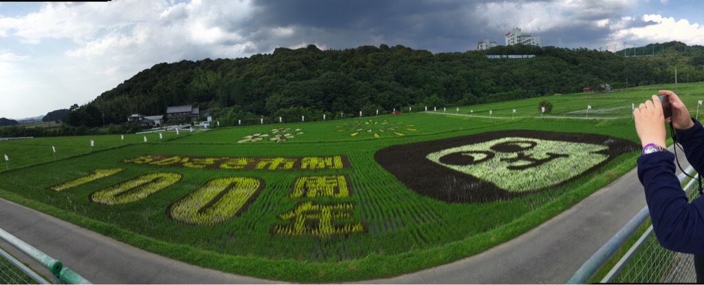 岡崎田んぼアート